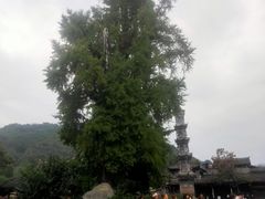 -崇州市街子古镇