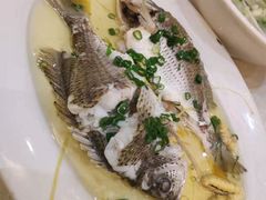 -有腥气私房菜·寻味顺德