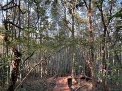 -南京市无想山景区