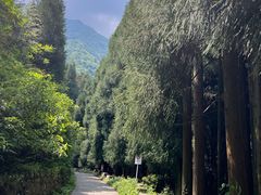 -九峰山