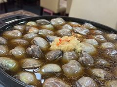 -顺德哥卜卜贝(旗舰店)
