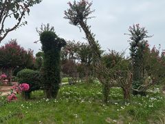 -武汉紫薇都市田园