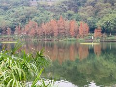 -重庆彩云湖湿地公园
