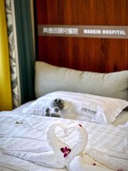 -美德因妇儿医院