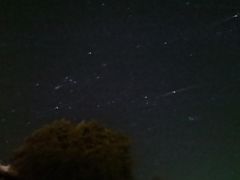 -闽鄂情·闽南招财鸭(水头店)