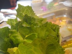 -蜀九鼎毛肚火锅(建瓯店)