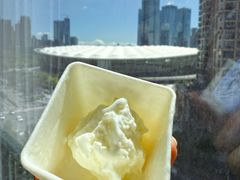 -野人先生现做冰淇淋(深圳壹方城店)