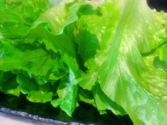 -蝎菜杨·牛肉面 羊蝎子火锅(光熙门北里店)