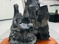 -中华赏石园