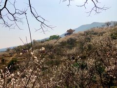-广州市流溪河国家森林公园