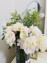 -美肤盾祛痘·问题肌头疗管理中心