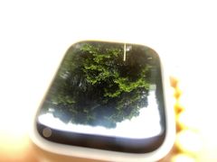 -素咫咖啡CLIFEROSE(新安店)
