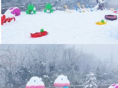 -龙苍沟森林公园