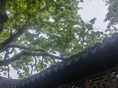 -上海醉白池公园