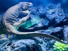 -海南热带野生动植物园