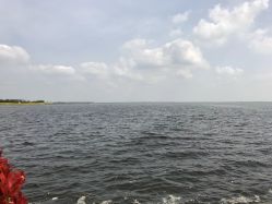 -水八仙生态园