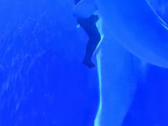 -多彩贵州城极地海洋世界