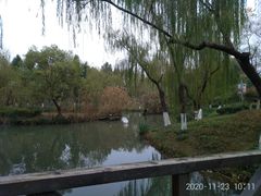 -青枫公园