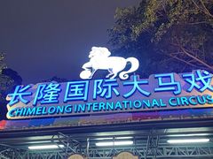 -广州长隆国际大马戏