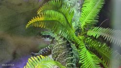 -酷嗒动物文化乐园(cutezoo西溪乐天城店)