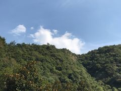 -宁波五龙潭景区