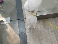 -暖阳宠物医院·犬猫康复中心·骨科