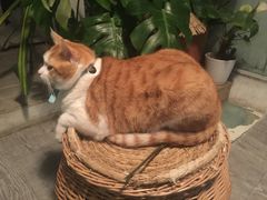 -小时光咖啡馆(北锣鼓巷店)