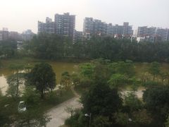 凯悦酒店-东莞松山湖凯悦酒店