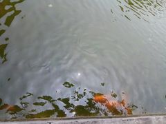 -河北村民俗体验园