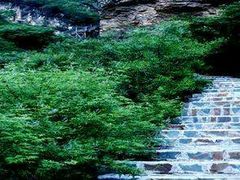 -野三坡清泉山风景区