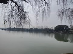 -同里湖度假村(二期店)