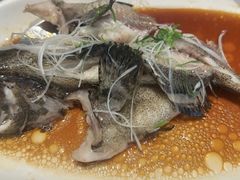 -闽海肴(北辰荟店)