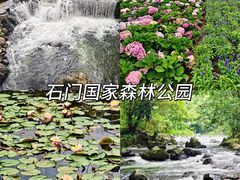 -广州市石门国家森林公园