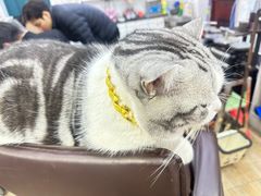 -百金通黄金回收首饰定制维修(珠江路总部)