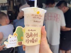 -猫的魔法密林(衣裳街店)