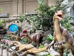 -国家自然博物馆