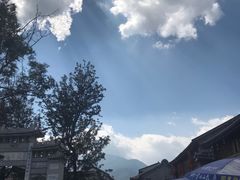 -杨顺宝喜洲粑粑