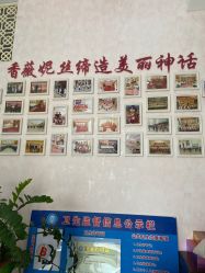 -香薇妮丝·定制减肥·身材管理