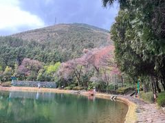 -蝴蝶泉公园