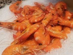 -怡聚轩全日制自助餐厅(大中华喜来登酒店)