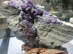 -湖南省地质博物馆