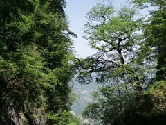 -塔云山