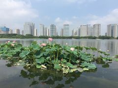 -尚贤河湿地