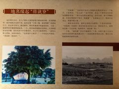 -蔡氏古民居建筑群