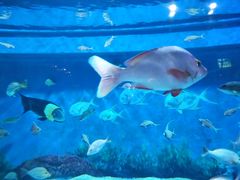 -成都浩海立方海洋公园