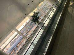 -杭州萧山国际机场