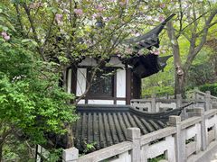 -上海佘山国家森林公园西佘山园