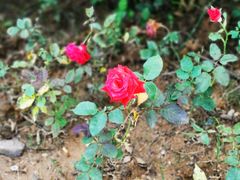 -三江森林温泉度假区