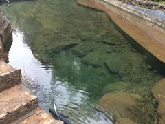 iphone_upload_pic-众神白水涧景区