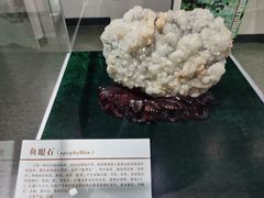 -中国第四纪冰川遗迹陈列馆